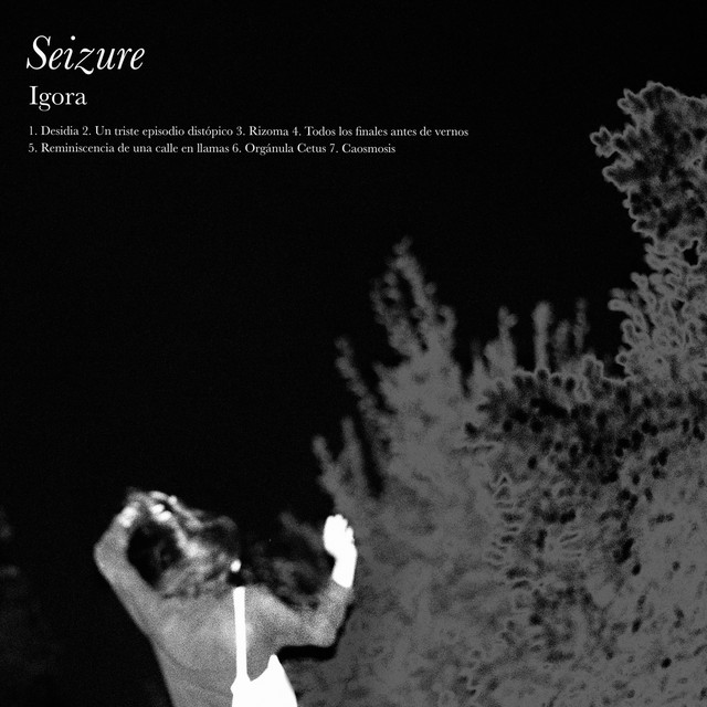 Seizure cover art