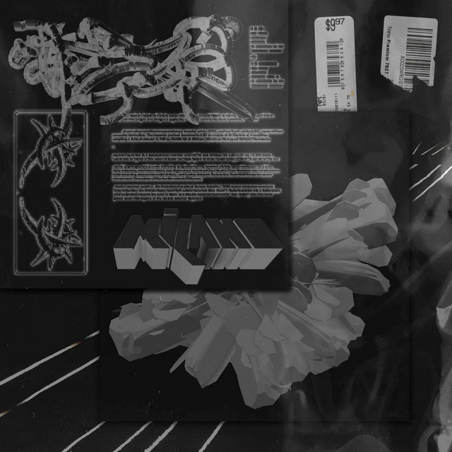The Swank cover art