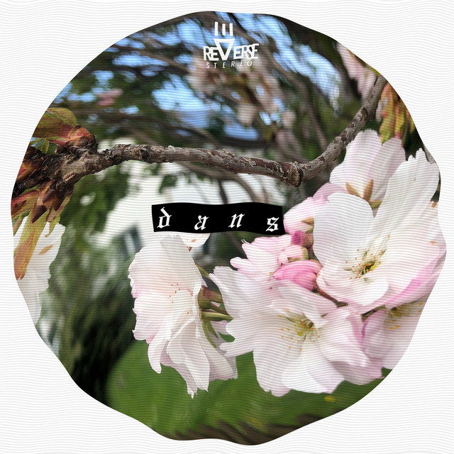 Reverse Stereo – Dans