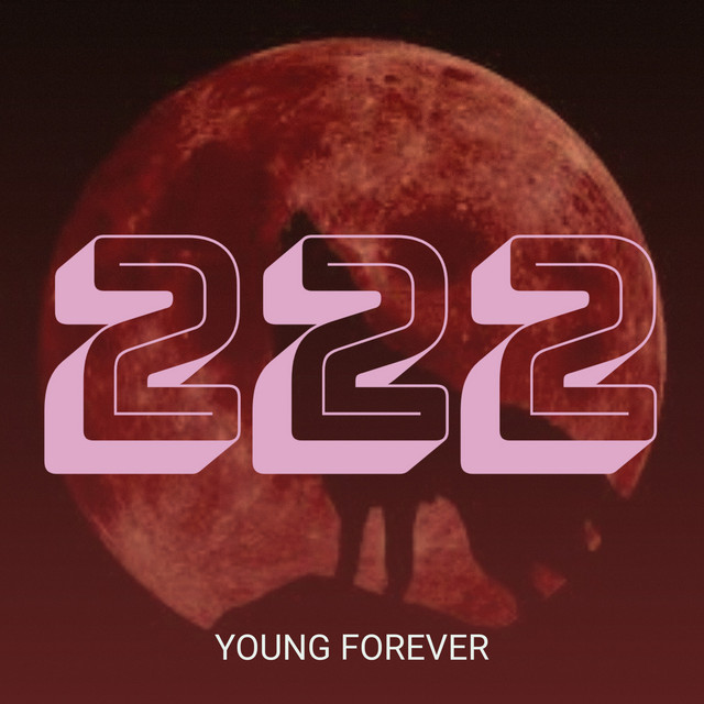 222 cover art