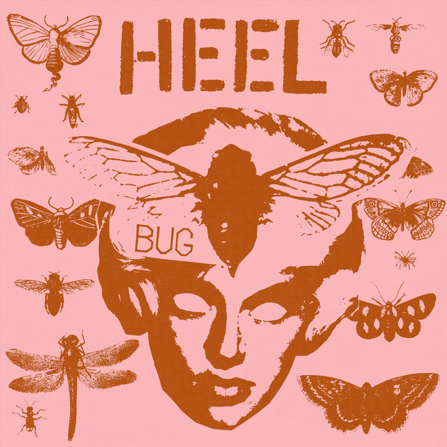 Bug cover art