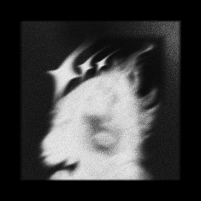 Spell cover art