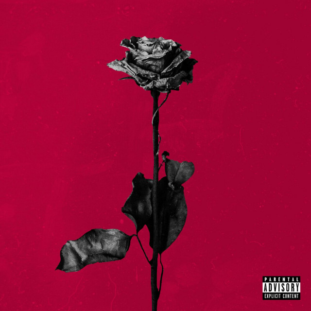 deadroses cover art