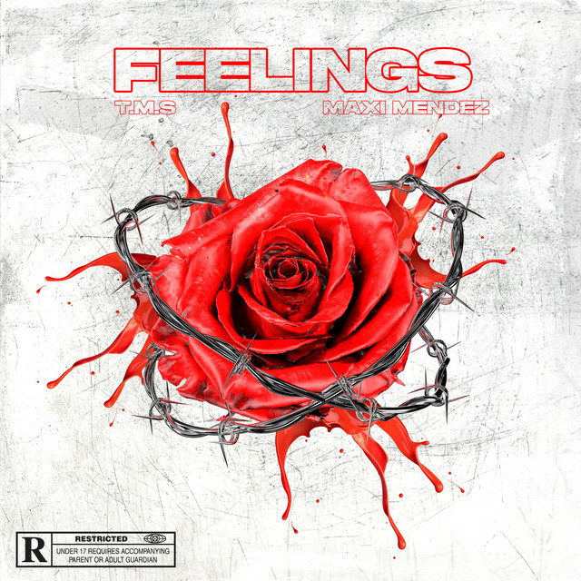 Feelings cover