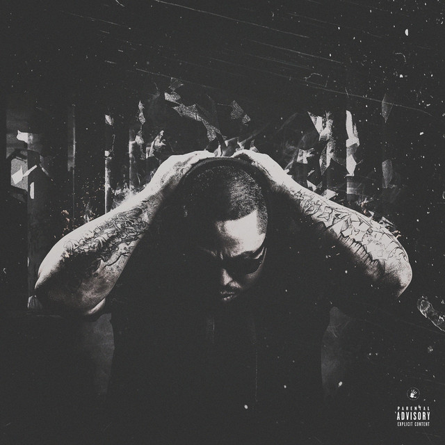 Natural Born Winner cover art