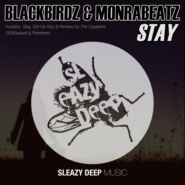 Stay - The Equalizers Remix cover art