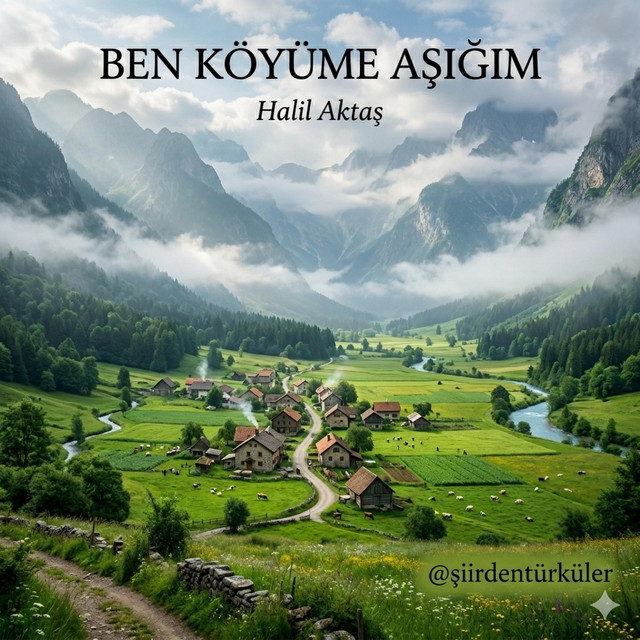 Halil Aktaş
