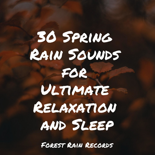 30 Spring Rain Sounds for Ultimate Relaxation and Sleep - Album by Spa ...