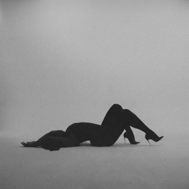 Body cover