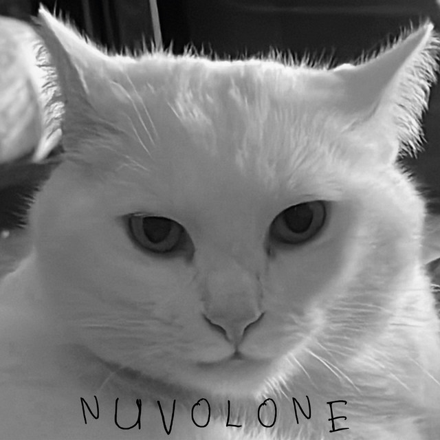 Nuvolone cover art