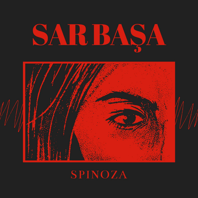 SAR BAŞA cover art