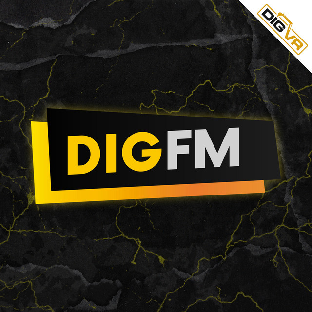 Dig Vr - Dig Fm - Compilation by Various Artists | Spotify