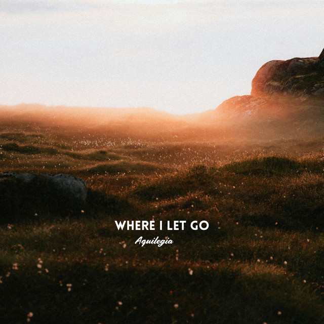 Where I Let Go cover art
