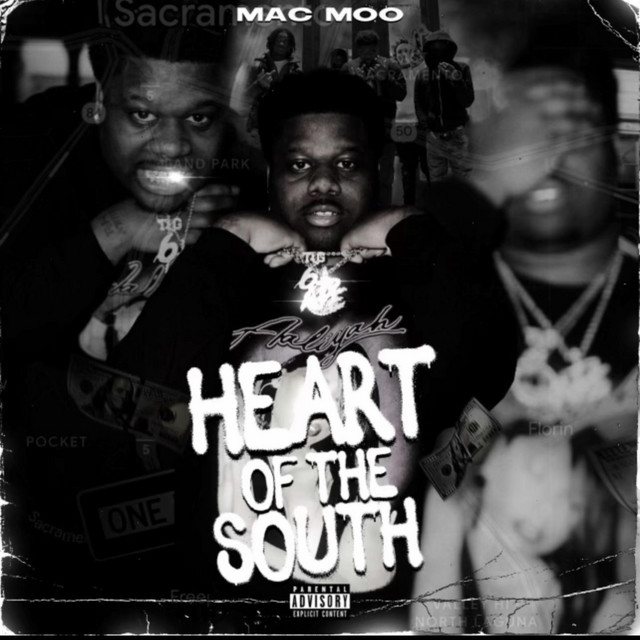 HEART OF THE SOUTH cover art