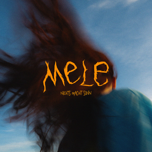 Nichts macht Sinn cover art