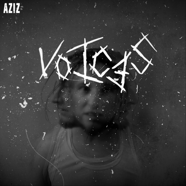 Voices - Single by Aziz | Spotify
