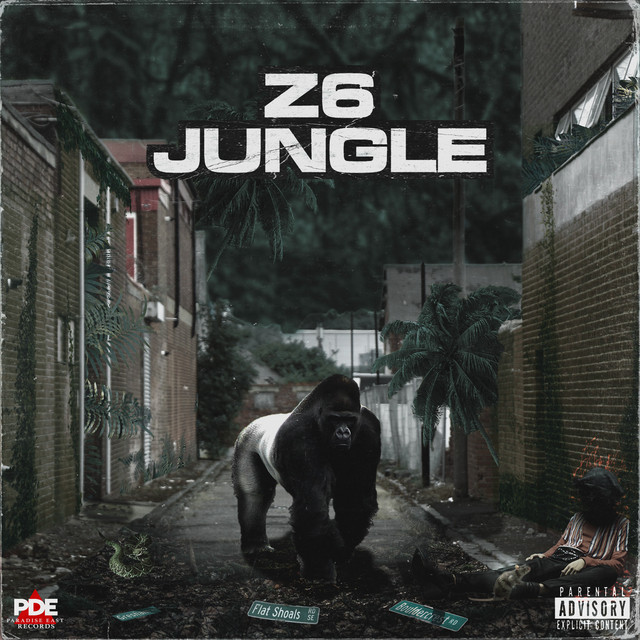 Z6 Jungle cover