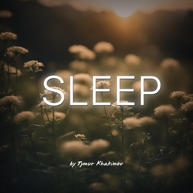 Обкладинка Tymur Khakimov — Sleep