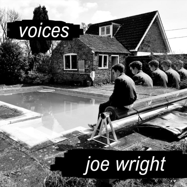 Voices cover art
