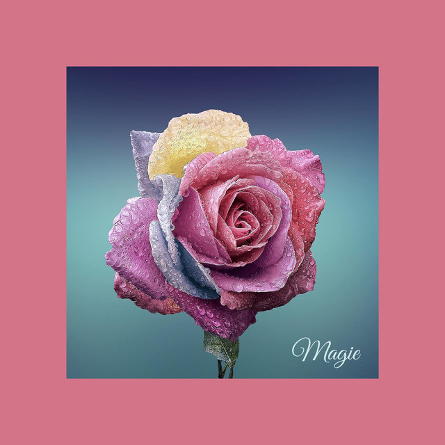 Magie cover