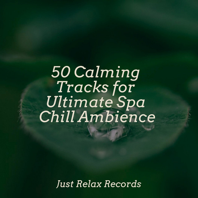 50 Calming Tracks for Ultimate Spa Chill Ambience - Album by Musica ...