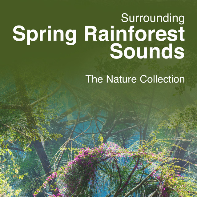 Surrounding Spring Rainforest Sounds: The Nature Collection - Album by ...
