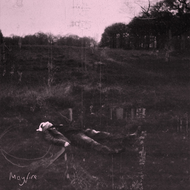 Daylight cover art