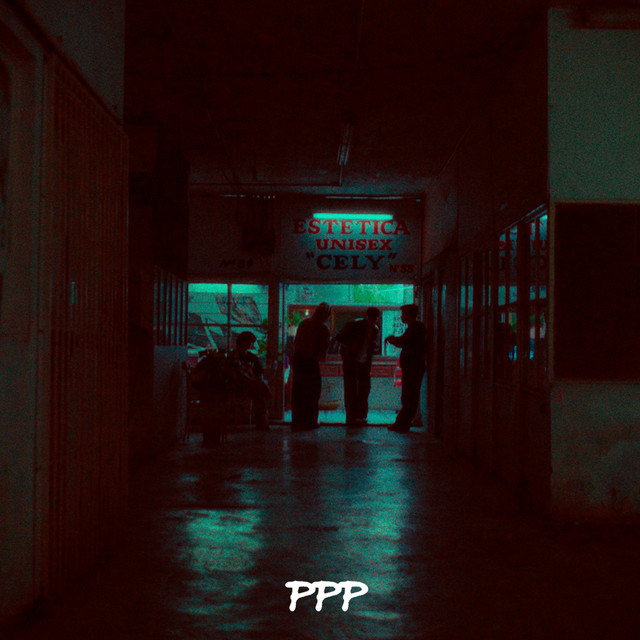 PUÑOS PULSERAS Y PALETAS cover art