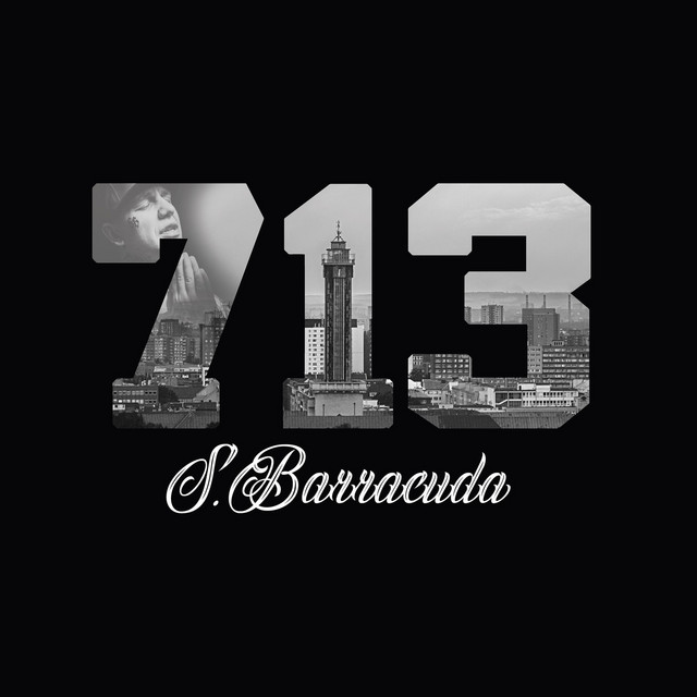 713 cover art