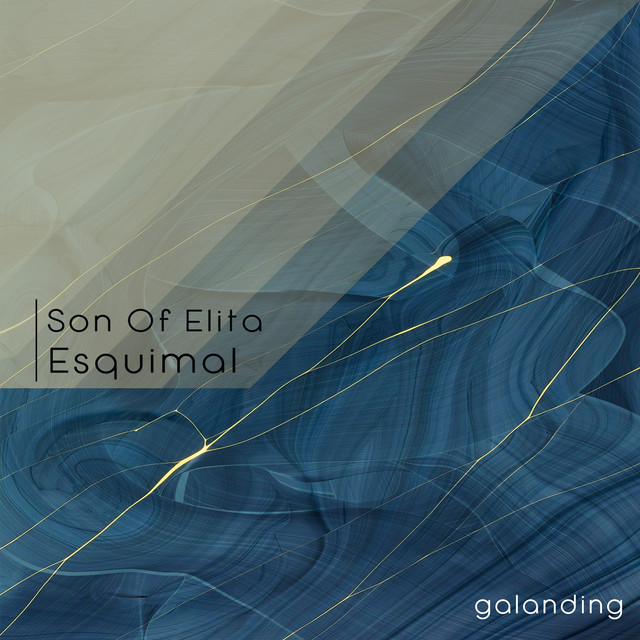 Camera Roise - Galvino Remix cover art