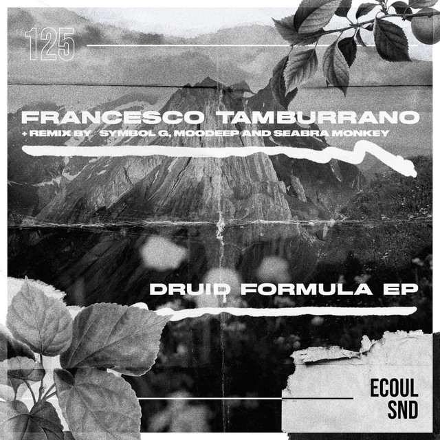 Druid - Symbol G Remix