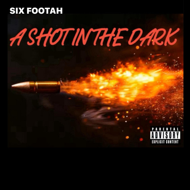 A SHOT IN THE DARK (album)