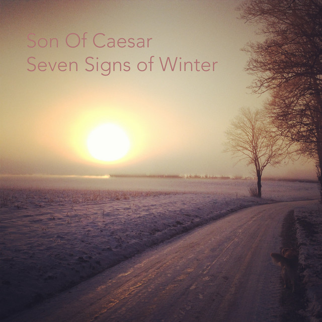 Seven Signs of Winter cover