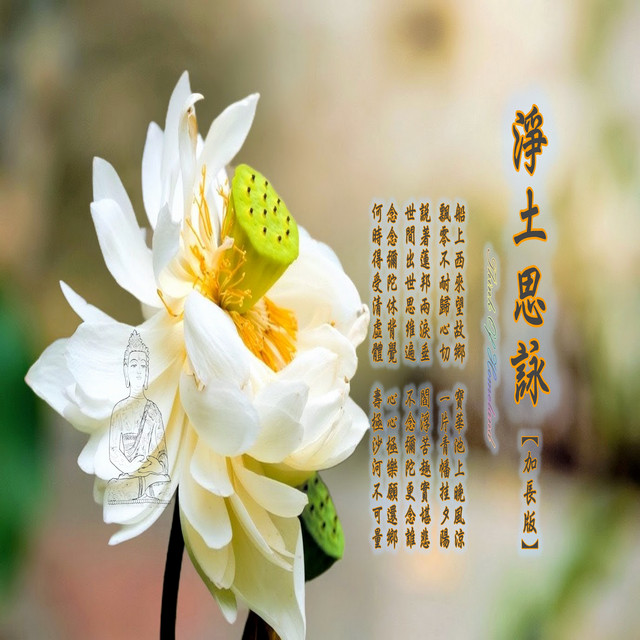 淨土思詠 (加長版) album image