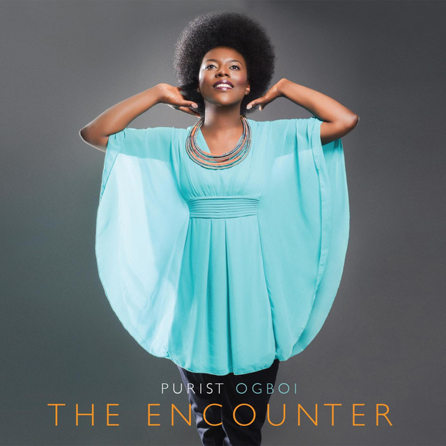 The Encounter cover art