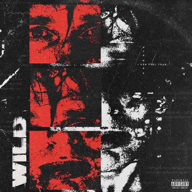 Wild cover art