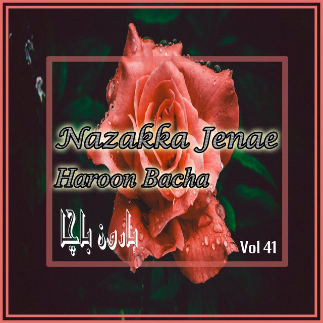 Nazakka Jenae, Vol. 41 cover art