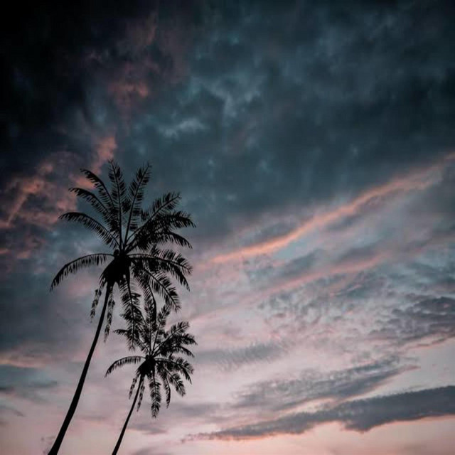 The Light cover art