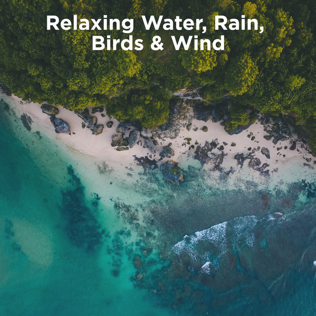 Relaxing Water, Rain, Birds & Wind - Album by White Noise