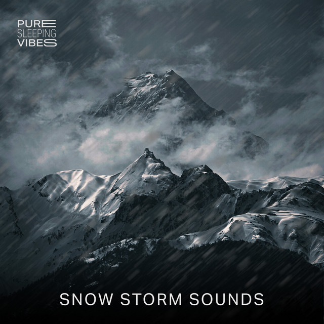 Snow Storm Sounds cover art
