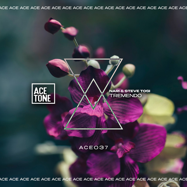 Tremendo album art