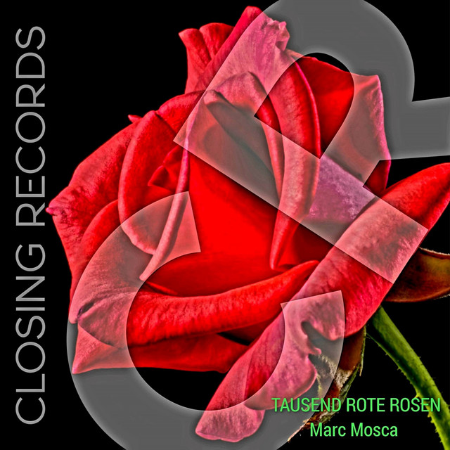 Tausend Rote Rosen