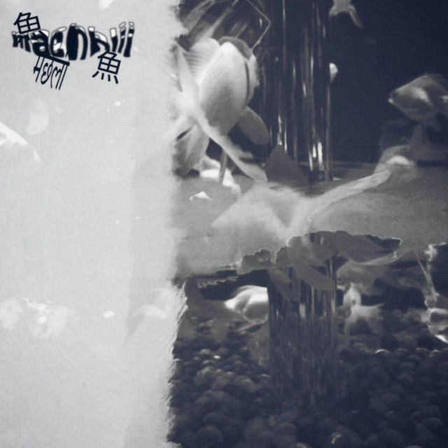 Machhlii cover art