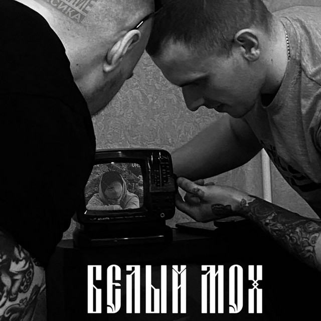 Белый мох