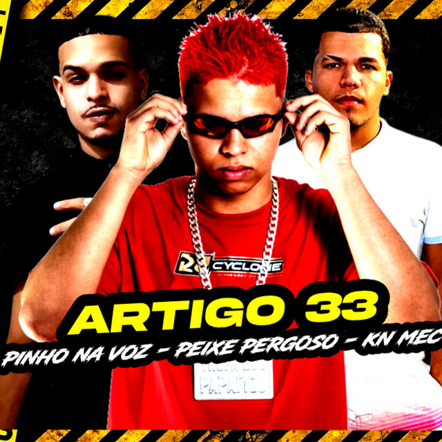 Artigo 33