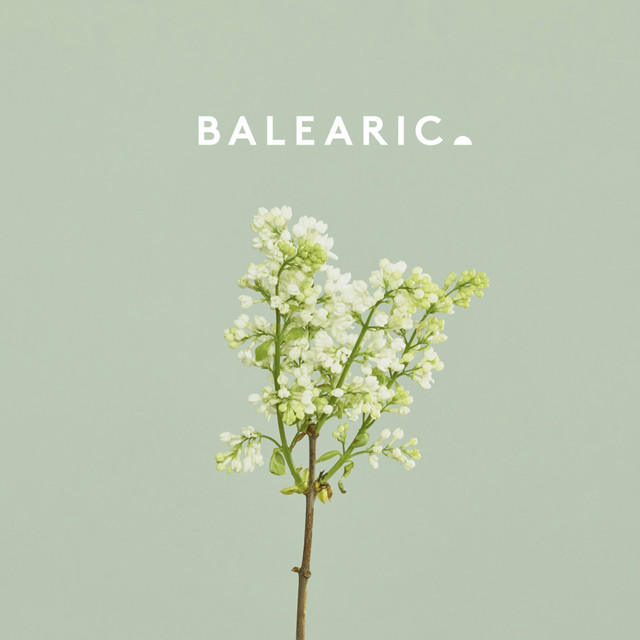 Spring cover