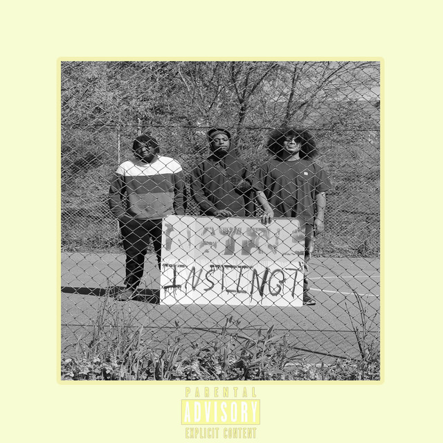 Natural Instinct cover art