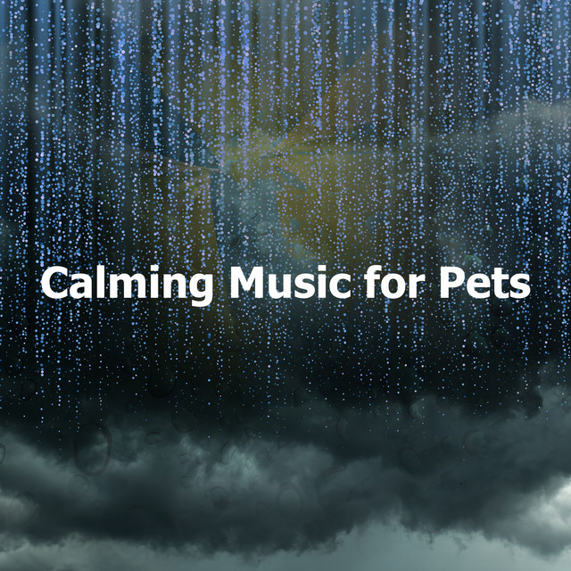 Calming Music for Pets - Album by Pet Care Music Therapy | Spotify