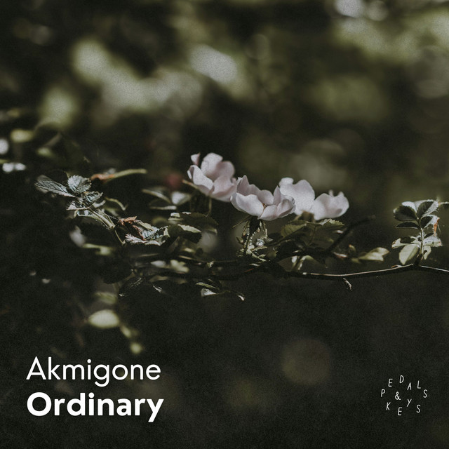 Ordinary - Piano Version