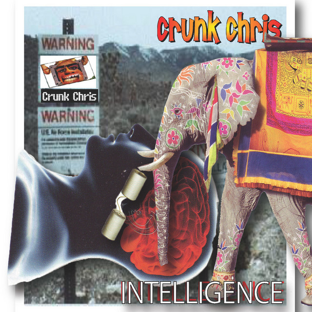 Intellegence cover art